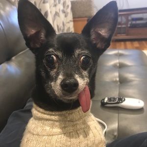 Meet your Posher, Geordarna